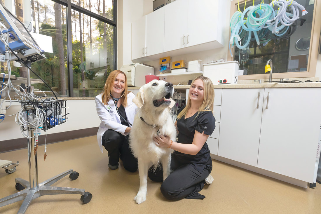 prf-mother-daughter-small-june24-240501-pets-r-family-9_orig